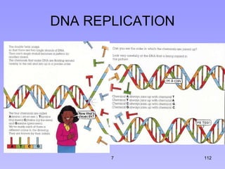 DNA REPLICATION 7 