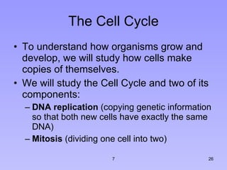 The Cell Cycle To understand how organisms grow and develop, we will study how cells make copies of themselves.  We will study the Cell Cycle and two of its components: DNA replication  (copying genetic information so that both new cells have exactly the same DNA) Mitosis  (dividing one cell into two)  7 