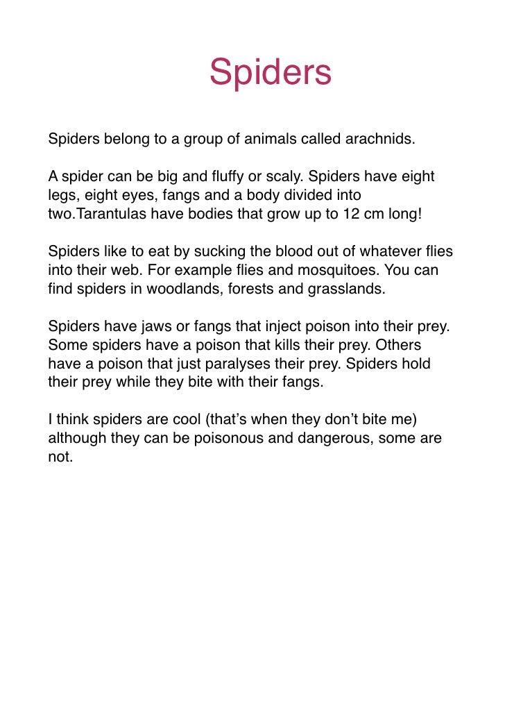 Spiders Report