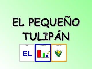 EL PEQUEÑO TULIPÁN 