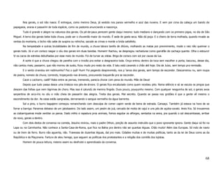 Nos gerais, o sol não nasce. É entregue, como menino Deus, já vestido nos panos vermelho e azul das nuvens. E vem por cima da cabeça um bando de
papagaios, araras e passarím de toda espécie, como os pastores anunciando a nascença.
       Tudo é grande e alegre na natureza dos gerais. Os pé-de-paus perecem gente daqui mesmo: tudo mediano e dançando com os primeiro pigos, no dia de São
Miguel. A terra dos gerais bebe toda chuva, pode ser o chuveirão maior do mundo. É sede de goela seca. Não dá poça. E o cheiro de terra molhada, quando invade as
ventas da montaria, o bicho não sabe de suspira ou relincha; sacode as crinas e morde a brida satisfeito.
       Na tempestade e outras brutalidades de fim de mundo, a chuva labora tarefa de dilúvio, molhando as matas por previnimento, mode o raio não queimar o
gerais todo. Já vi um corisco rasgar o céu dos gerais em duas bandas. Homem! Rachou, se despregou rachaduras como garrafão de cachaça quente. Olha o estouro!
Vi os cacos de estrelas debulhadas por esse meio de mundo. Foi de turvar as vistas. Briga de corisco com sol por causa da lua.
       A sorte é que a chuva chegou de parelha com o trovão pra evitar a desgraceira toda. Onça entrou dentro da toca sem escolher a porta; bacurau, desse dia,
não cantou mais; passarim, que não morreu de susto, ficou mudo pro resto da vida. E tatu está cavando o chão até hoje. Dia de Juízo, sem tempo pra remissão.
       E o vento cirandou em redimuinho? Fez o quê! Hum! Foi pegando desprevinido, nos p´lanos dos gerais, sem tempo de esconder. Descarreirou nu, sem roupa
de poeira, nomeio da chuva, correndo, tropeçando nas árvores, procurando boqueirão pra se esconder.
       Cacei o cachorro, cadê? Rabo entre as pernas, tremendo, parecia chorar com pena do mundo. Mãe de Deus!
       Depois que tudo passa desce uma tristeza nos pés-de-árvore. O gerais fica encabulado como quem recebeu pito. Reina silêncio e só se escuta os pingos que
descem das folhas que nem lágrimas de choro. Mas isso é calundú de menino fingido. Dura pouco, pouquinho mesmo. Com qualquer nesguinha de sol, o gerais avoa
serpentina de arco-íris no céu e mão cheia de passarím das alegria. Treita dos gerais. Mal secreto. Quando se passa nos grotões é que a gente vê mesmo o
escondimento da dor. As vaias estão sangradas, derramando o sangue vermelho da água barrenta.
       Sol a pino, o burro bagajeiro começou remanchando com desculpa de comer capim verde de beira de estrada. Cansaço. Também já estava na hora de se
forrar a barriga. Paramos debaixo de um jatobazeiro. Do lado assim, um pesím de juá, cercado de moita de cajuí e uns pés de açoita-cavalo. Areis fria. Só trouxemos
as ciabarrigueiras mode ventilar os panos. Dado milho e rapadura pros animais, fomos esgotar os alforges, sentados na areia, pra quando o sol descambasse, arribar
de novo, gerais a dentro.
       Com dois dedos de conversa na comida, Jesuíno revirou, mais o padre Othon, porção de assunto instruído que o povo ignorante ignora. Gente daqui só foi na
Lapa ou na Carinhanha. Não conhece a Santa-Casa-de-Roma, que fica na Bahia pra dentro não sei quantas léguas. Chão muito! Além das Europas. Só indo de navio
ou de trem de ferro. Burro não aguenta, não. Travessia de duzentas léguas, daí pra mais. Cidades muitas e de muitas políticas, tanto as da lei de Deus como as da
República e da Maçonaria. Fartura de ateu herege, que seguem as políticas dos protestantes e a religião dos comitês dos lojistas.
       Homem de pouca leitura, mesmo assim eu desfrutei o aprendizado da conversa.




                                                                                                                                                               68
 
