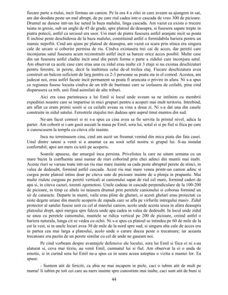 fiecare parte a riului, incit formau un canion. Pe la ora 4 a zilei in care aveam sa ajungem in sat,
am dat deodata peste un mal abrupt, de pe care riul cadea intr-o cascada de vreo 300 de picioare.
Drumul ne dusese intr-un loc neted la baza malului, linga cascada. Am vazut ca exista o trecere
taiata in gresie, sub un unghi de 45 de grade, spre platoul de deasupra, si fusesera sapate trepte in
piatra potecii, astfel ca urcusul era usor. Usi mari de piatra fusesera astfel aranjate incit sa poata
fi inchise peste deschiderea de la baza malului, constituind astfel o formidabila bariera pentru un
inamic nepoftit. Cind am ajuns pe platoul de deasupra, am vazut ca scara prin stinca era singura
cale de urcare si coborire permisa de riu. Cindva existasera trei cai de acces, dar peretii care
inconjurau satul fusesera acum reconstruiti astfel incit sa bareze orice acces posibil. Multe case
din sat fusesera astfel cladite incit unul din pereti forma o parte a zidului care inconjura satul.
Am observat ca acele case care erau una cu zidul erau inalte cit 3 etaje si nu existau deschizaturi
pentru ferestre, in perete, decit la inaltimea celui de-al treilea etaj. Fiecare deschizatura avea
construit un balcon suficient de larg pentru ca 2-3 persoane sa poata sta in el comod. Acestea, am
judecat noi, erau astfel facute incit permanent sa poata fi aruncata o privire in afara. Ni s-a spus
ca regiunea fusese locuita cindva de un trib de bastinasi care se izolasera de ceilalti, pina cind
disparusera ca trib, unii fiind asimilati de alte triburi.
Aici era casa parinteasca a lui Emil si locul unde aveam sa ne intilnim cu membrii
expeditiei noastre care se impartise in mici grupuri pentru a acoperi mai mult teritoriu. Intrebind,
am aflat ca eram primii sositi si ca ceilalti aveau sa vina a doua zi. Ni s-a dat una din casele
construite in zidul satului. Ferestrele etajului trei dadeau spre asprul tinut muntos din sud.
Ne-am facut comozi si ni s-a spus ca cina avea sa fie servita la primul nivel, adica la
parter. Am coborit si i-am gasit asezati la masa pe Emil, sora lui, sotul ei si pe fiul si fiica pe care
ii cunoscusem la templu cu citeva zile inainte.
Inca nu terminasem cina, cind am auzit un freamat venind din mica piata din fata casei.
Unul dintre sateni a venit si a anuntat ca au sosit seful nostru si grupul lui. S-au instalat
confortabil; apoi am mers cu totii pe acoperis.
Soarele apusese, dar amurgul inca persista. Privelistea la care ne uitam semana cu un
mare bazin la confluenta unui numar de riuri coborind prin chei adinci din muntii mai inalti.
Aceste riuri se varsau toate intr-un riu mai mare inainte sa cada peste abruptul perete de stinci, in
valea de dedesubt, formind astfel cascada. Acest riu mai mare venea printr-un canion adinc si
curgea peste platoul intins doar pe citeva sute de picioare inainte de a plonja in prapastie. Mai
multe riulete curgeau pe peretii verticali ai canionului sapat de riul cel mare, formind caderi de
apa si, in citeva cazuri, torenti zgomotosi. Unele cadeau in cascade perpendiculare de la 100-200
de picioare, in timp ce altele isi taiasera drumul prin peretele canionului si coborau formind un
sir de cataracte. Departe in munti, vaile erau pline de ghetari, si acesti ghetari erau proiectati ca
niste degete uriase din marele acoperis de zapada care se afla pe virfurile intregului masiv. Zidul
protector al satului fusese unit cu cel al marelui canion, acolo unde acesta iesea in afara deasupra
platoului drept, apoi mergea spre faleza unde apa cadea in valea de dedesubt. In locul unde zidul
se unea cu peretele canionului, muntele se ridica vertical pe 200 de picioare, creind astfel o
bariera naturala, lunga cit se vedea cu ochii. Ni s-a spus ca platoul se intindea pe 60 de mile de la
est la vest, si in unele locuri avea 30 de mile de la nord spre sud; si singura alta cale de acces era
in partea cea mai larga a platoului, acolo unde o carare ducea peste o trecatoare; iar aceasta
trecatoare era pazita de un perete similar cu cel de unde ne gaseam noi.
Pe cind vorbeam despre avantajele defensive ale locului, sora lui Emil si fiica ei ni s-au
alaturat si, ceva mai tirziu, au venit Emil, cumnatul lui si fiul. Am observat la ei o unda de
emotie, si in curind sora lui Emil ne-a spus ca in seara aceea asteptau o vizita a mamei lor. Ea
spuse:
- Suntem atit de fericiti, ca abia ne mai incapem in piele, caci o iubim atit de mult pe
mama! Ii iubim pe toti cei care au mers inainte spre cunostinte mai inalte, caci sunt atit de buni si
44
 