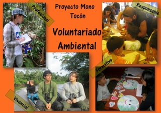 Pr

ofe

sio

na
l

Resp

Proyecto Mono
Tocón

onsa

Voluntariado
Ambiental
ivo
at

orm
F

Viv

enc

ial

ble

 