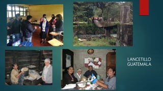 LANCETILLO
GUATEMALA
 