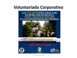 Voluntariado Corporativo
Dra. Alicia de la Peña
 