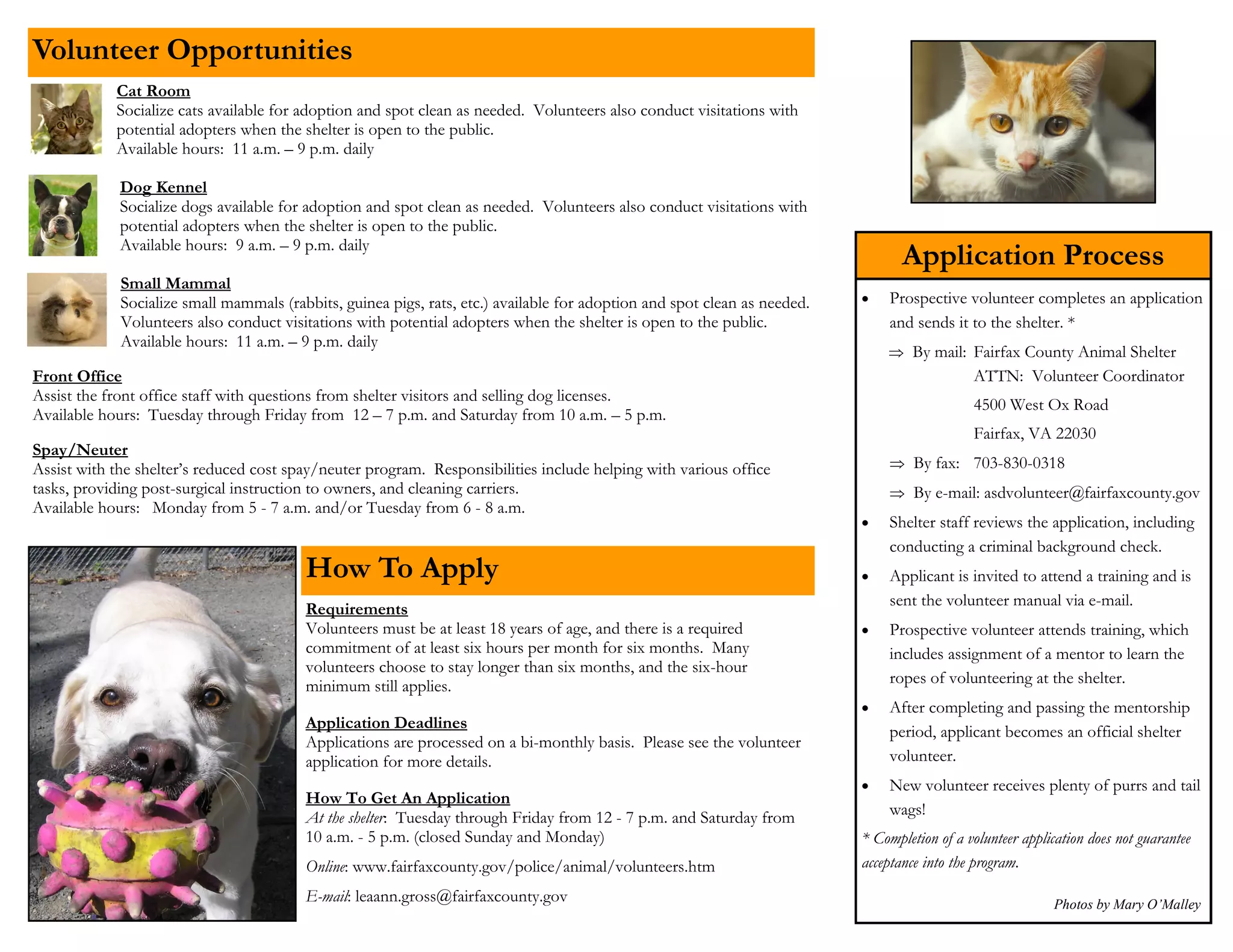Fairfax County Animal Shelter Volunteer Program Brochure | PDF