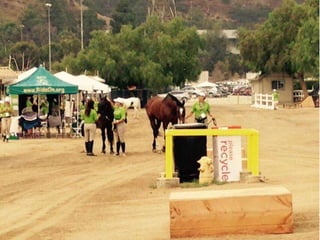 LA2015 Volunteer Gallery