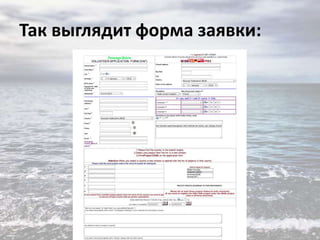 Так выглядит форма заявки:

 