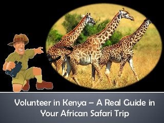 Volunteer in Kenya – A Real Guide in
      Your African Safari Trip
 