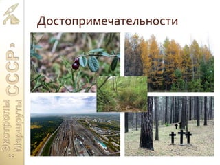 Достопримечательности
 