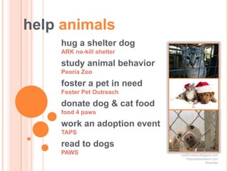 help animals
    hug a shelter dog
    ARK no-kill shelter

    study animal behavior
    Peoria Zoo

    foster a pet in need
    Foster Pet Outreach

    donate dog & cat food
    food 4 paws

    work an adoption event
    TAPS

    read to dogs
    PAWS                     Leafmonkey.blogspot.com
                                Petparadiseresort.com
                                             Nhandler
 