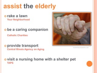 assist the elderly
 rake    a lawn
 Your Neighborhood



 be   a caring companion
 Catholic Charities



 provide    transport                   Yourhomecompanion.com
 Central Illinois Agency on Aging



 visit   a nursing home with a shelter pet
 TAPS
 