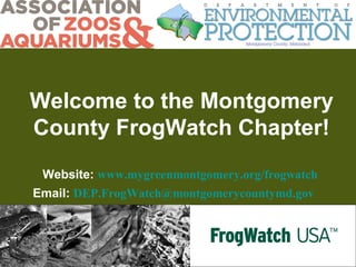 Welcome to the Montgomery
County FrogWatch Chapter!
Website: www.mygreenmontgomery.org/frogwatch
Email: DEP.FrogWatch@montgomerycountymd.gov

 