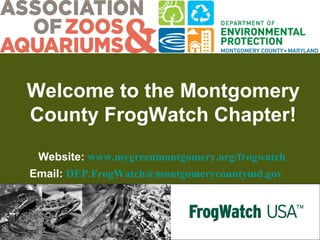Welcome to the Montgomery
County FrogWatch Chapter!
Website: www.mygreenmontgomery.org/frogwatch
Email: DEP.FrogWatch@montgomerycountymd.gov
 