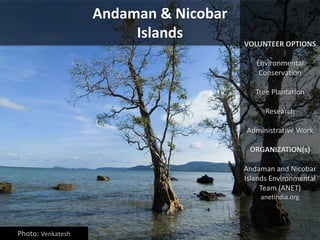 Andaman & Nicobar
Islands
VOLUNTEER OPTIONS
Environmental
Conservation
Tree Plantation
Research
Administrative Work
ORGANI...
