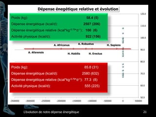 FacteursGéocentriquesLocalisationHoraireEnvironnementAutresÉgocentriquesCapacité aérobieForce musculaireMotivationAutres19Facteursd’influence de l’activité physique
