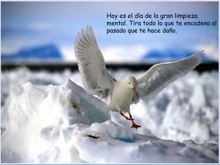 Hoy es el día de la gran limpieza mental. Tira todo lo que te encadena al pasado que te hace daño.  