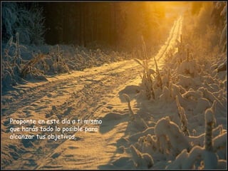 Proponte en este día a ti mismo que harás todo lo posible para alcanzar tus objetivos.  