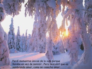 Perdí momentos únicos de la vida porque lloraba en vez de sonreír...Pero descubrí que es sembrando amor, como se cosecha amor.  