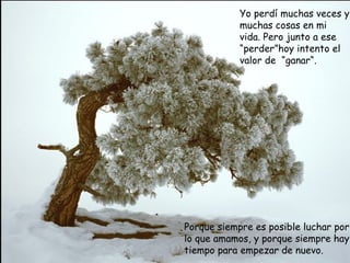 Yo perdí muchas veces y muchas cosas en mi vida. Pero junto a ese “perder”hoy intento el valor de  “ganar“.  Porque siempre es posible luchar por lo que amamos, y porque siempre hay tiempo para empezar de nuevo.  