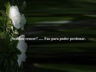 ¿Sentiste rencor? ..... Fue para poder perdonar.  