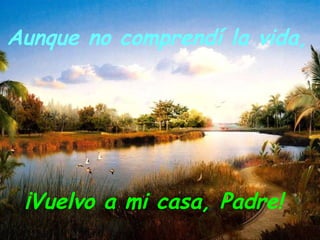 Aunque no comprendí la vida, ¡Vuelvo a mi casa, Padre! 