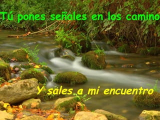 Tú pones señales en los caminos Y sales a mi encuentro 