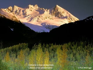 Detiene a los peregrinos Libera a los prisioneros 