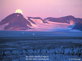 Es como descifrar signos Sin ser sabio competente 