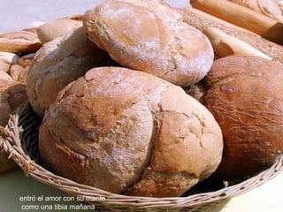 entró el amor con su manto como una tibia mañana 