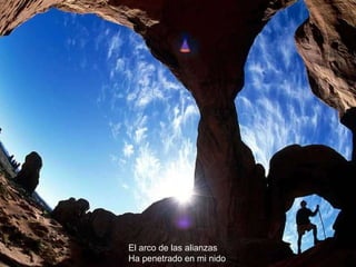 El arco de las alianzas Ha penetrado en mi nido 