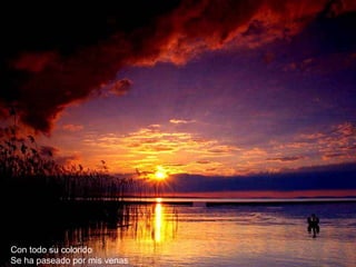 Con todo su colorido Se ha paseado por mis venas 