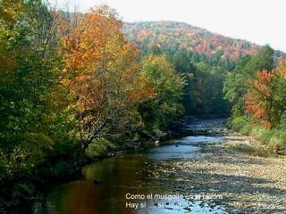 Como el musguito en la piedra Hay sí ..., sí ..., sí ... 