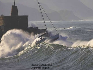 El amor es torbellino De pureza original 