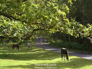 Hasta el feroz animal Susurra su dulce trino 