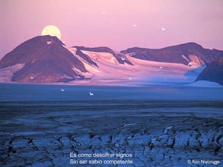 Es como descifrar signos Sin ser sabio competente 