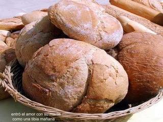 entró el amor con su manto como una tibia mañana 