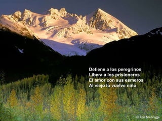 Detiene a los peregrinos Libera a los prisioneros El amor con sus esmeros Al viejo lo vuelve niño 