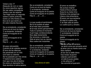 Volver a los 17 Después de vivir un siglo Es como descifrar signos Sin ser sabio competente Volver a ser de repente Tan frágil como un segundo Volver a sentir profundo Como un niño frente a Dios Eso es lo que siento yo En este instante fecundo. Se va enredando, enredando Como en el muro la hiedra Y va brotando, brotando Como el musguito en la piedra Como el musguito en la piedra Hay sí ..., sí ..., sí ... Mi paso retrocedido Cuando el de ustedes avanza El arco de las alianzas Ha penetrado en mi nido Con todo su colorido Se ha paseado por mis venas Y hasta la dura cadena Con que nos ata el destino Es como un diamante fino Que alumbra mi alma serena. El amor es torbellino De pureza original Hasta el feroz animal Susurra su dulce trino Detiene a los peregrinos Libera a los prisioneros El amor con sus esmeros Al viejo lo vuelve niño Y al malo sólo el cariño Lo vuelve puro y sincero. Se va enredando, enredando Como en el muro la hiedra Y va brotando, brotando Como el musguito en la piedra Como el musguito en la piedra Hay sí ..., sí ..., sí ... Se va enredando, enredando Como en el muro la hiedra Y va brotando, brotando Como el musguito en la piedra Como el musguito en la piedra Hay sí ..., sí ..., sí ... Lo que puede el sentimiento No lo ha podido el saber Ni el más claro proceder Ni el mas ancho pensamiento Todo lo cambia el momento Cual mago condescendiente Nos aleja dulcemente De rencores y violencias Sólo el amor con su ciencia Nos vuelve tan inocentes. Se va enredando, enredando Como en el muro la hiedra Y va brotando, brotando Como el musguito en la piedra Como el musguito en la piedra Hay sí ..., sí ..., sí ... De par en par la ventana se abrió como por encanto entró el amor con su manto como una tibia mañana  al son de su bella diana  hizo brotar el jazmín  volando cual serafín al cielo le puso aretes y mis años en 17 los convirtió el querubín.  Usa ahora el ratón. 