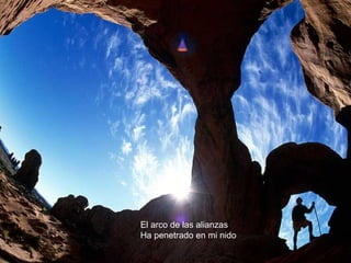 El arco de las alianzas
Ha penetrado en mi nido
 