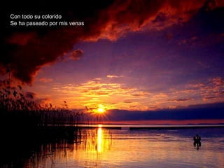 Con todo su colorido
Se ha paseado por mis venas
 