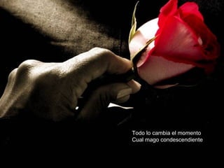 Todo lo cambia el momento
Cual mago condescendiente
 