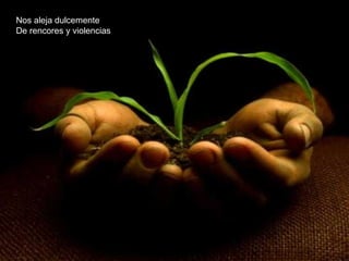 Nos aleja dulcemente
De rencores y violencias
 
