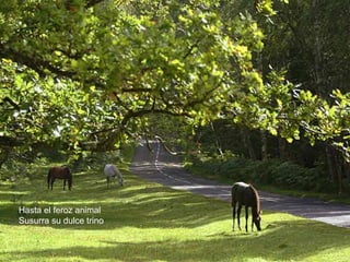 Hasta el feroz animal
Susurra su dulce trino
 