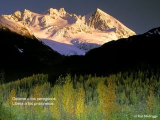 Detiene a los peregrinos
Libera a los prisioneros
 