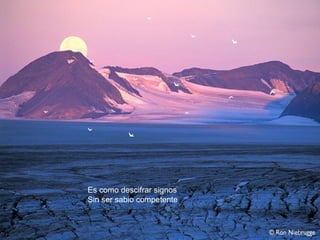 Es como descifrar signos
Sin ser sabio competente
 