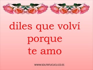 WWW.SOLITATUCUCU.CO.ES
diles que volví
porque
te amo
 