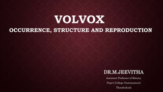 VOLVOX
OCCURRENCE, STRUCTURE AND REPRODUCTION
DR.M.JEEVITHA
Assistant Professor of Botany,
Pope’s College (Autonomous)
Thoothukudi
 