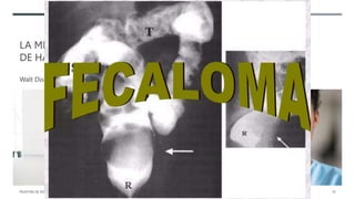 LA MEJOR MANERA DE EMPEZAR ES DEJAR
DE HABLAR Y EMPEZAR A ACTUAR.
Walt Disney
MUESTRA DE TEXTO DE PIE DE PÁGINA 20XX 14
 
