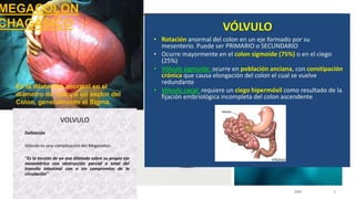 AGENDA
Tema uno
Tema dos
Tema tres
Tema cuatro
Tema cinco
MUESTRA DE TEXTO DE PIE DE PÁGINA 20XX 3
 